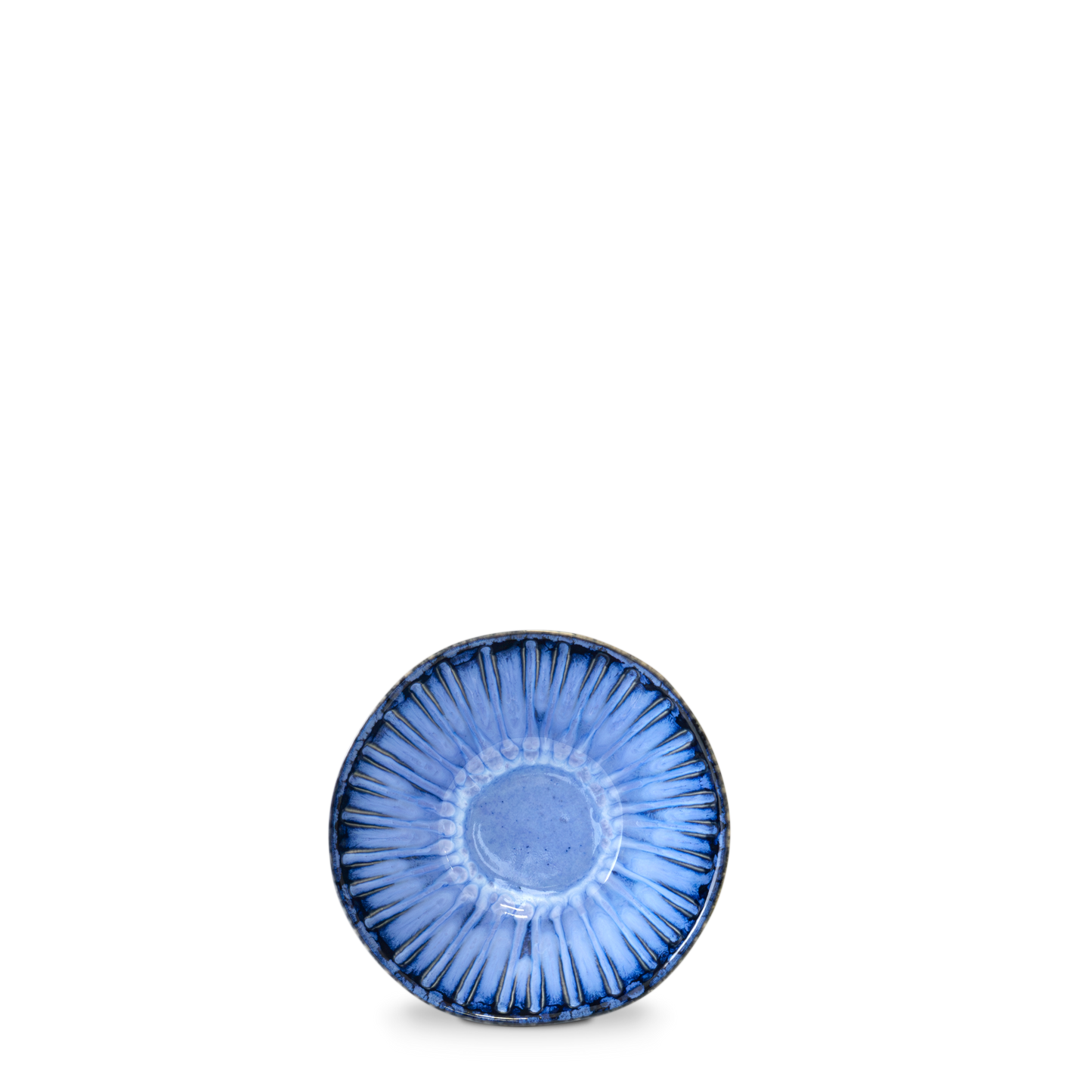 Vieira Azul Schüssel