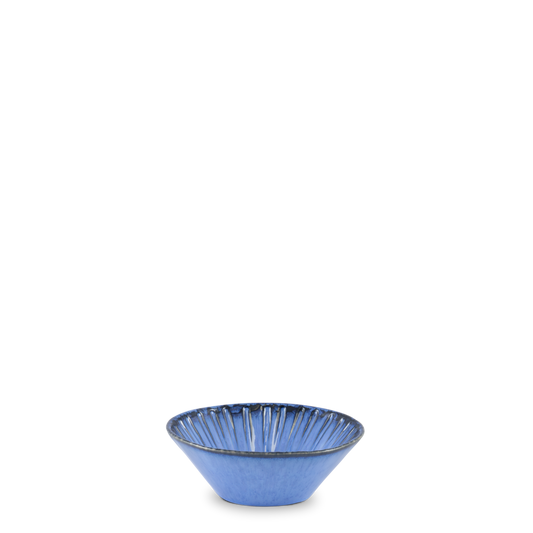 Vieira Azul Schüssel